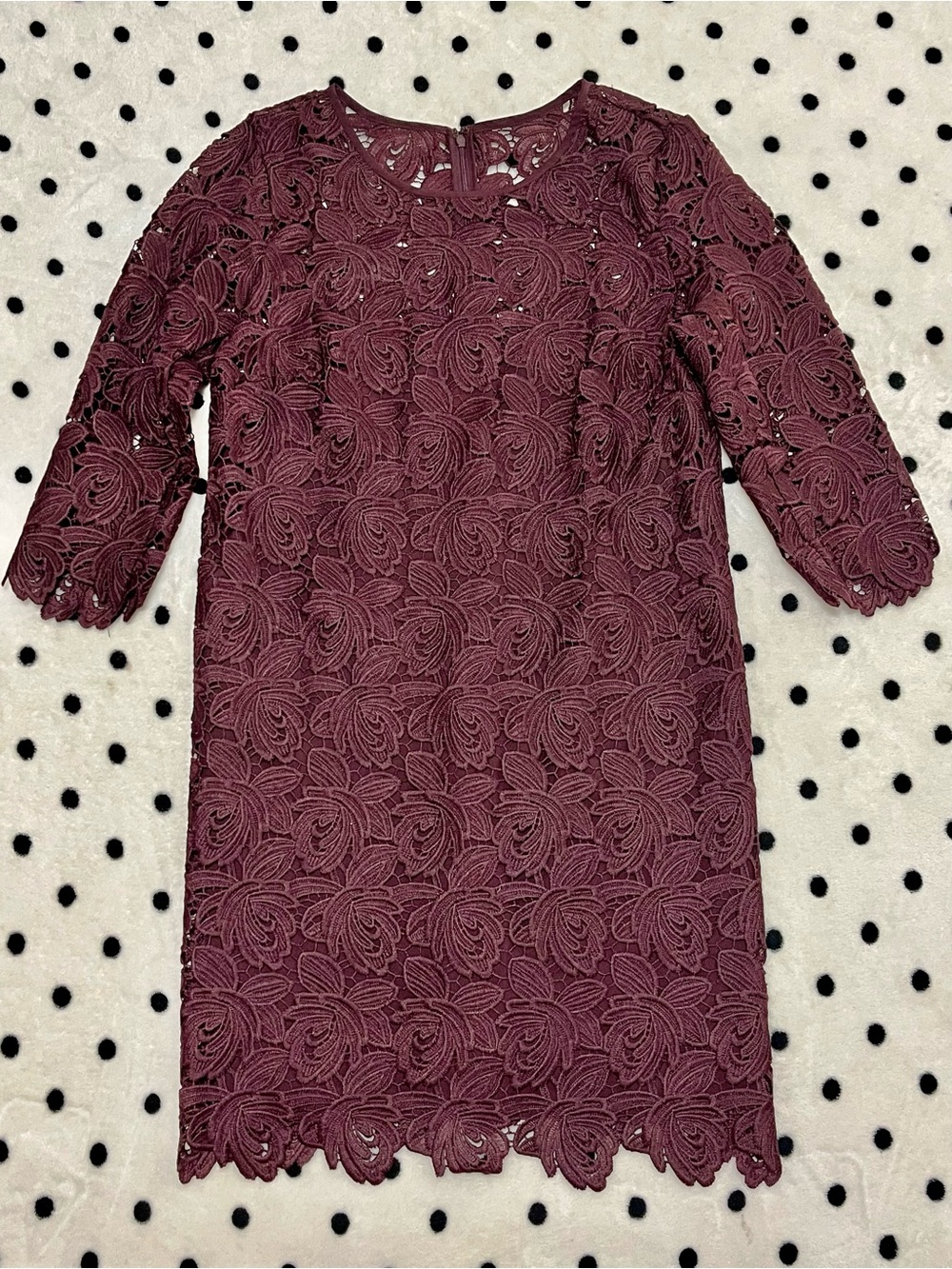 LOFT Floral Lace 3/4 Sleeve Shift Dress Size 4